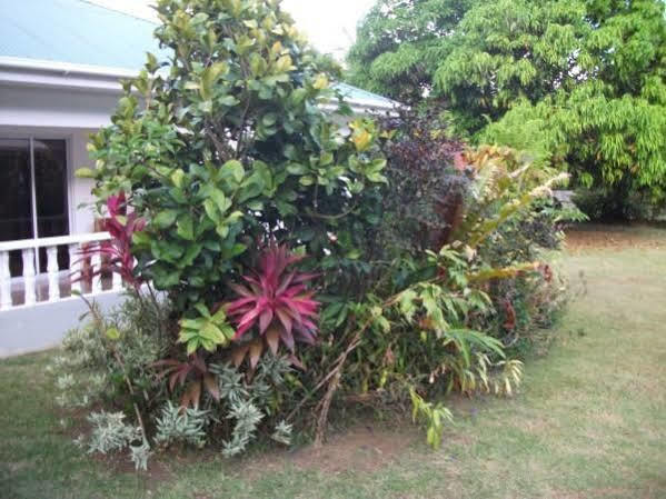 Marl Self Catering Villa Pointe La Rue Bagian luar foto